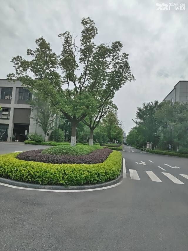 框架混凝土结构,现房出售,1350-3200㎡,配套齐全 - 7