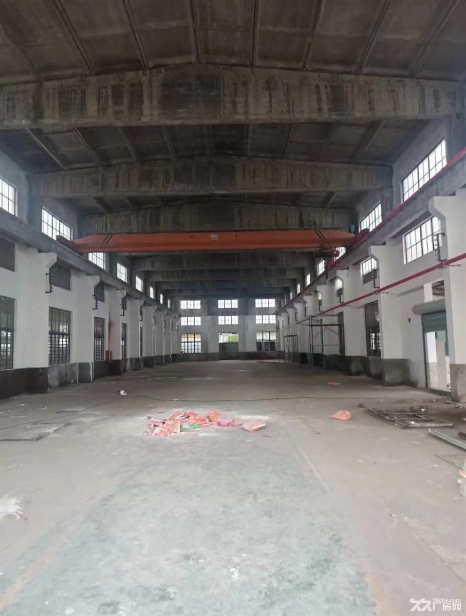 高标准厂房，场地超大，主干道宽畅，租金可谈，24小时保安值守 - 6