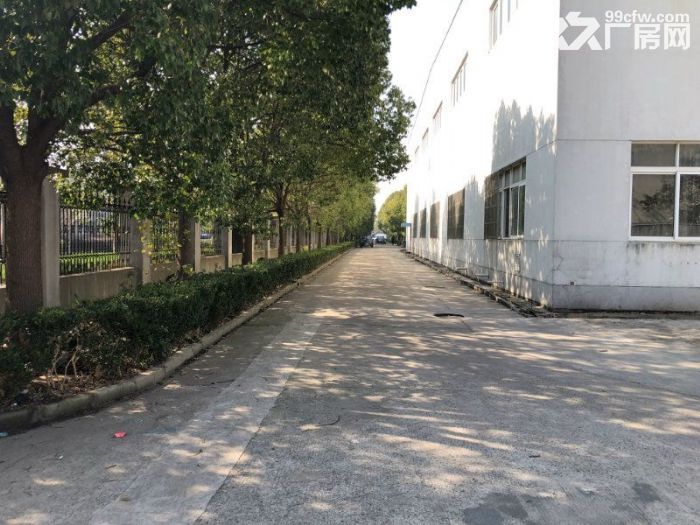 新 康桥工业园1130平新空出单层厂房出租 - 2