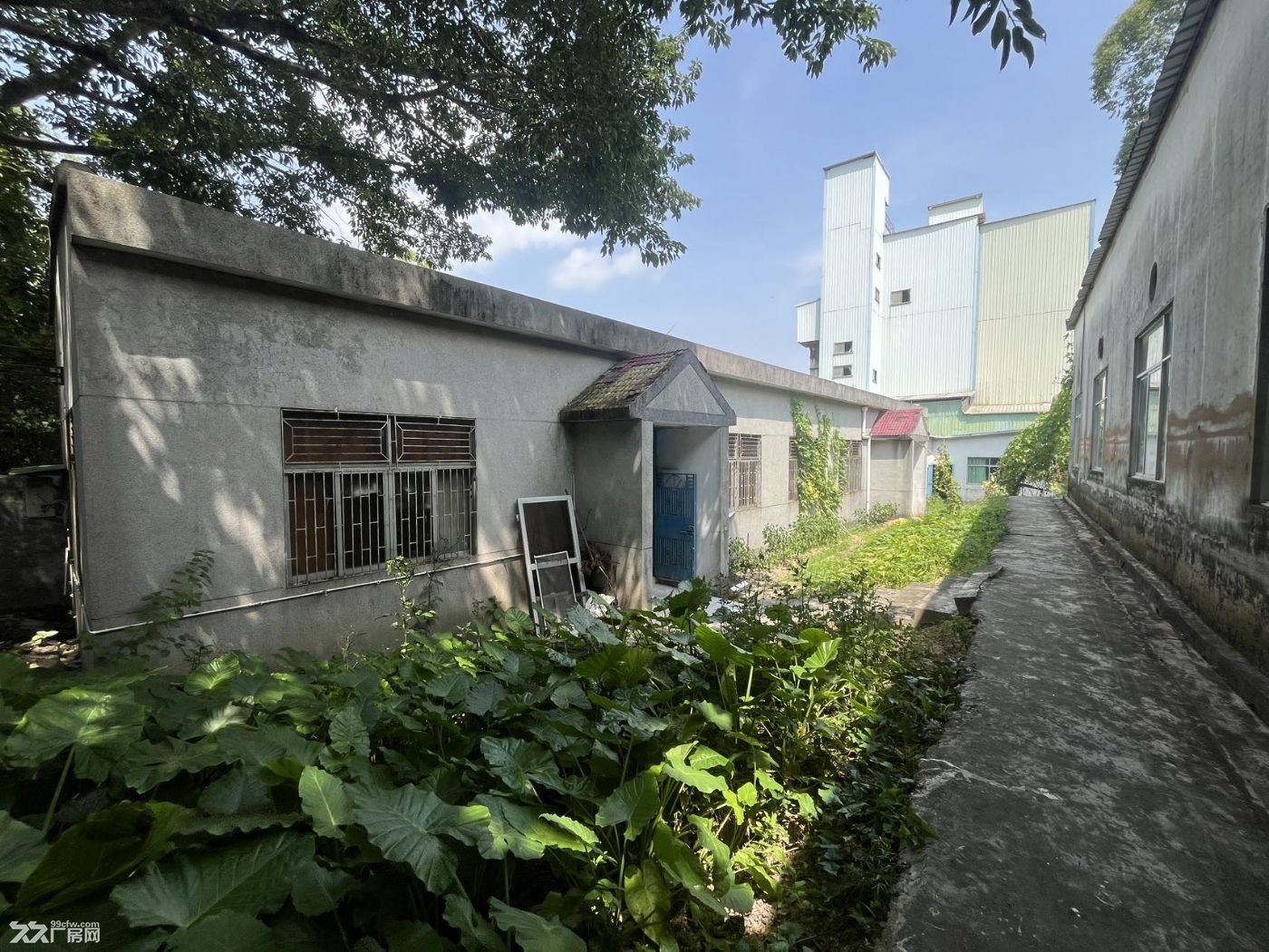 龙岗坪地六联原房东独门独院厂房招租 - 3