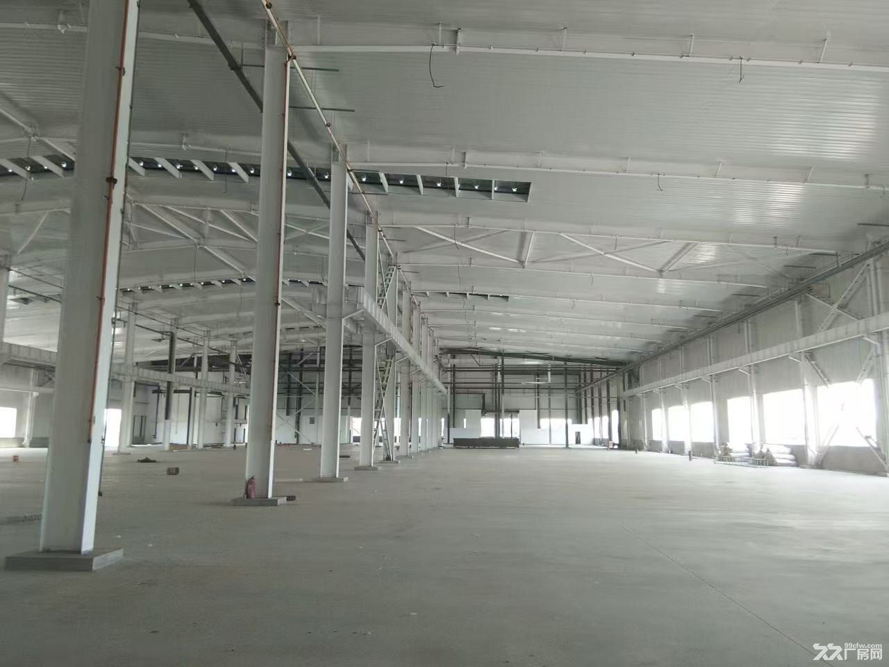 临港经济区淮河东道厂房出租 - 5