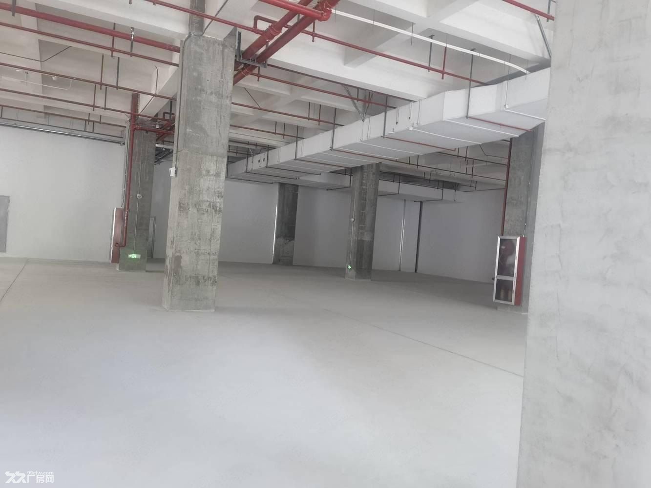 张江创新药基地·104地块丙类厂房出租 - 7