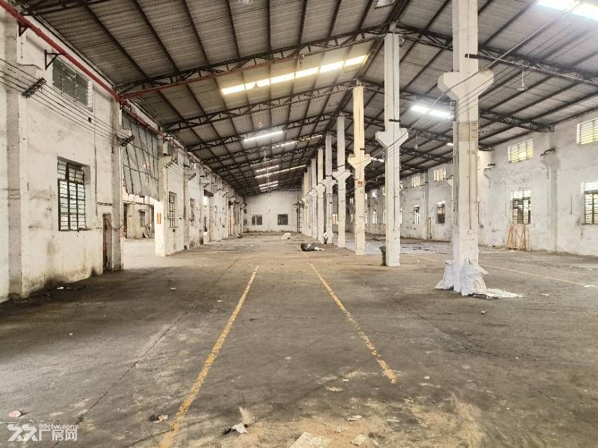 5000方,大路边,形象好,狮山工业园独院厂房出租,配套齐 - 8