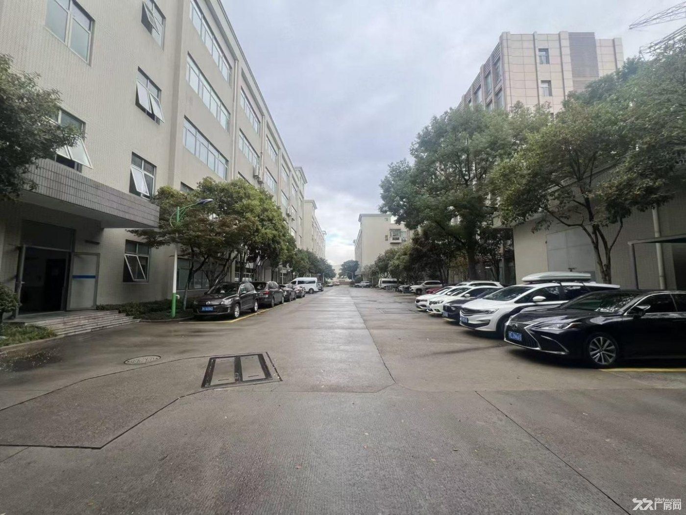 曹路104板块 园区环境优美 车辆进出无忧 - 6