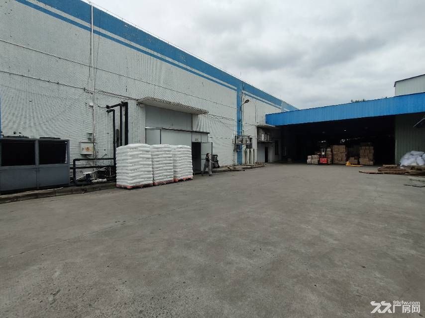 5600 方,大路边,形象好,单层独院狮山工业园厂房 - 2