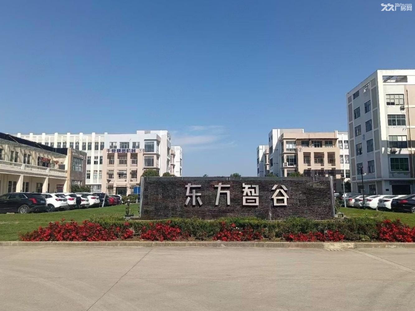 浦东新区 大团镇 圆通路128号 东方智谷 一楼厂房 - 3