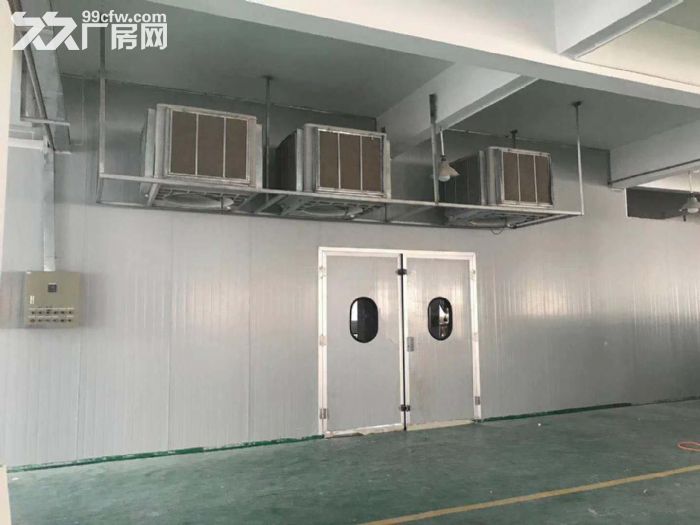 惠阳良井高速出口旁独院现成家具厂房,6700平,带喷油房,低价招租 - 7
