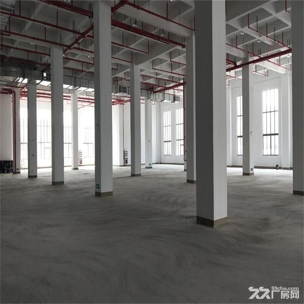 吴江太湖新城1200平米至4500平米 - 3