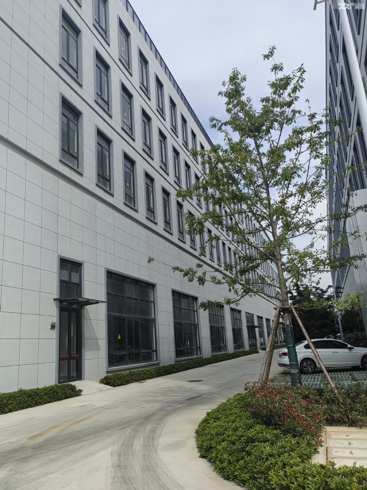 蛟川国企厂房全新出售