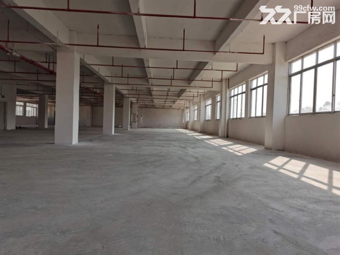 台山水步文工业区独院标准配甲级喷淋消防厂房1800平方招租 - 4