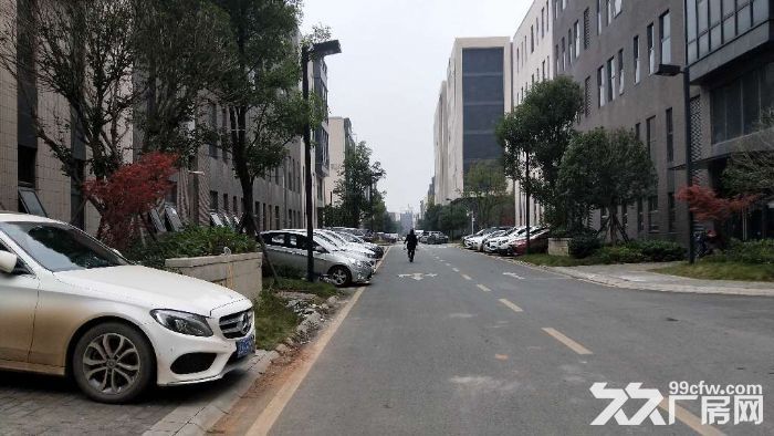 整层厂房、仓库、展厅 - 2