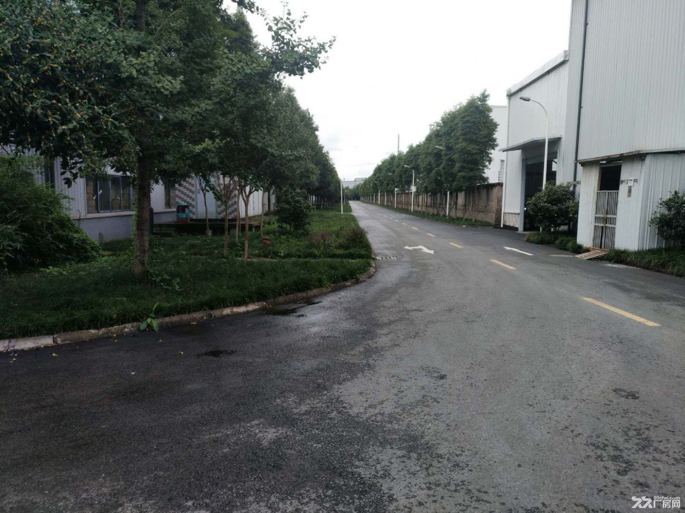 房东直租龙泉驿区1000方厂房 - 2