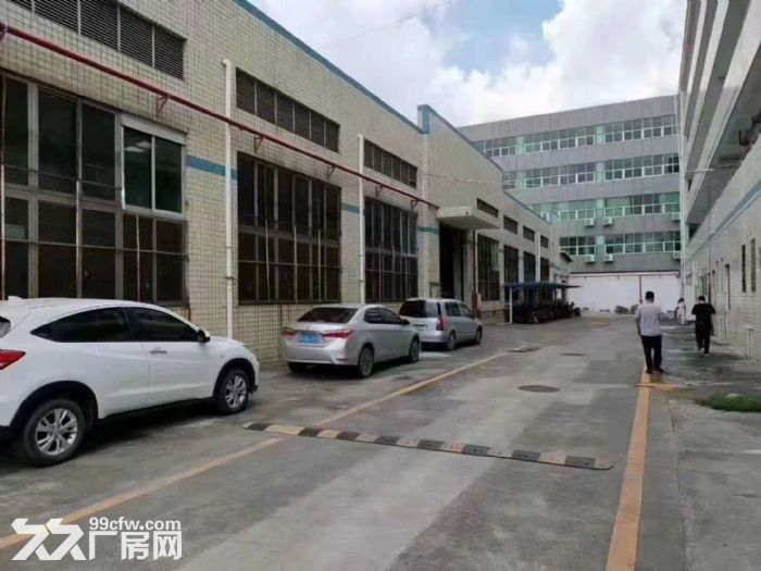 带红本 观澜牛湖单一层独院钢构厂房出租1万平 也可做物流仓库 - 4