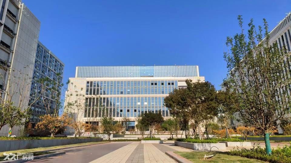 达州青网现有标准厂房出租 高品质 低租金 - 2