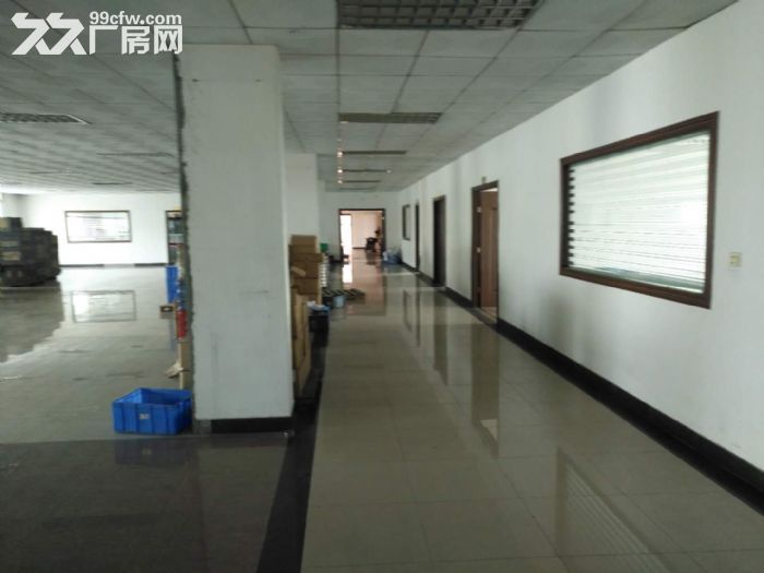 江门蓬江花园独院厂房招租,可分租,1000平方起租 - 4