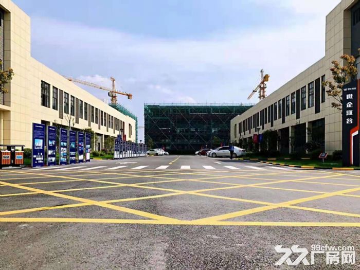 六合 龙池 开发区 优质产业园厂房办公楼招商600--6000平 - 4