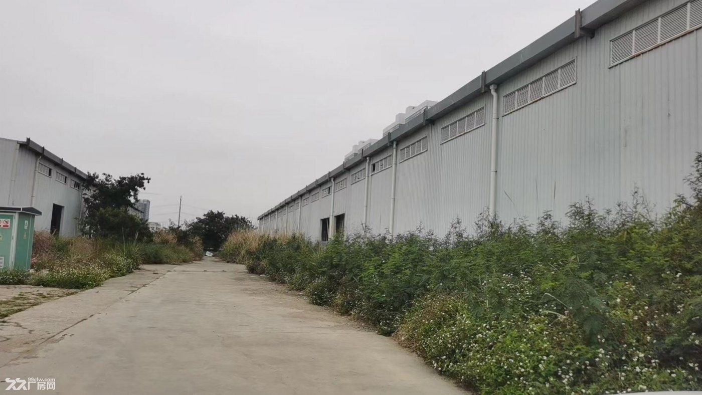 珠海金湾红旗独院厂房占地56亩建筑18000平方大量空地 - 4