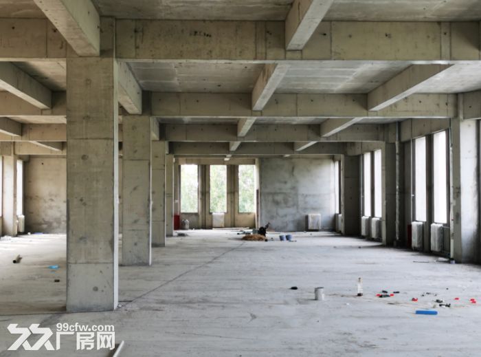 出售:电子信息2层厂房,可贷款可环评 - 3