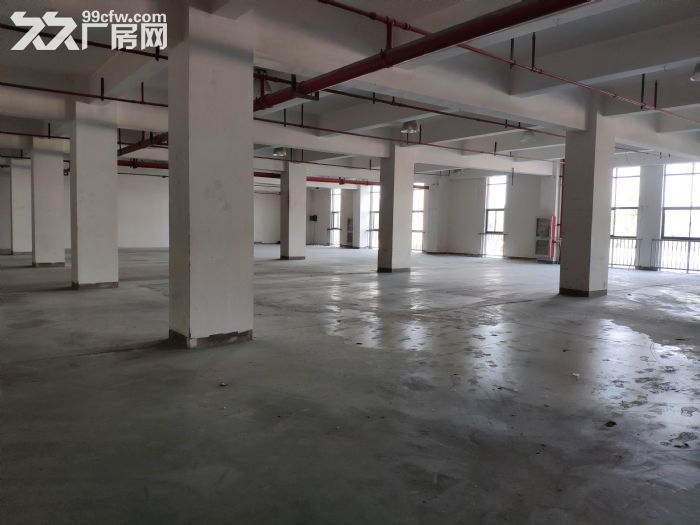 标准一楼200,320,400,685 1600平等厂房仓库 - 5
