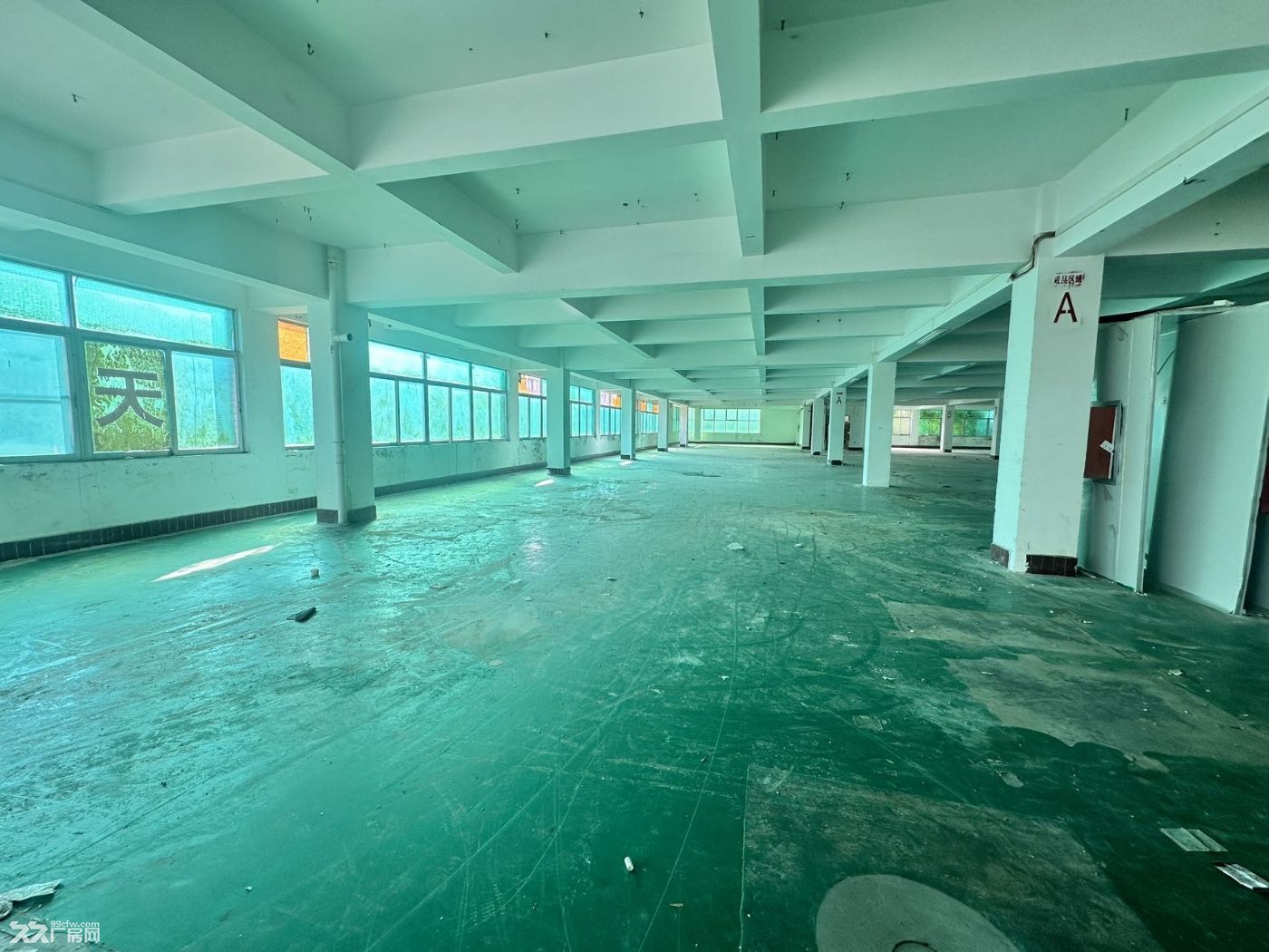 黄埔区云埔工业区12元厂房出租 - 7