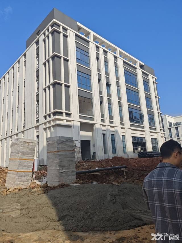 成都龙泉经开区全新厂房出售,独立产权,欢迎企业家实地考察 - 5