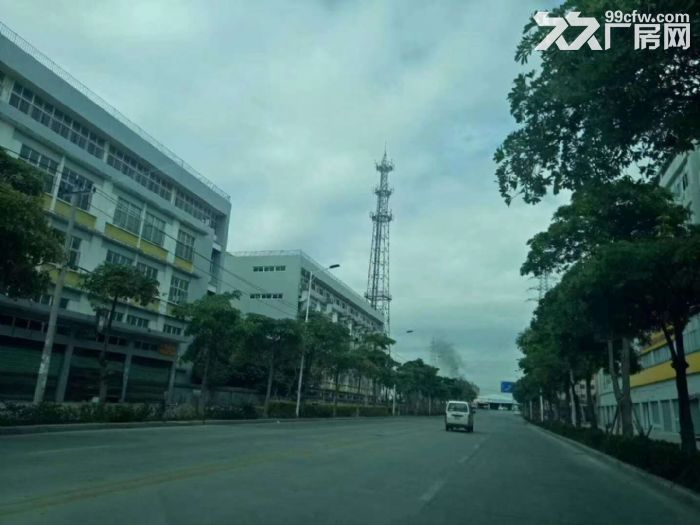 巷北工业区宝格丽厂房一楼550平方出租, - 5