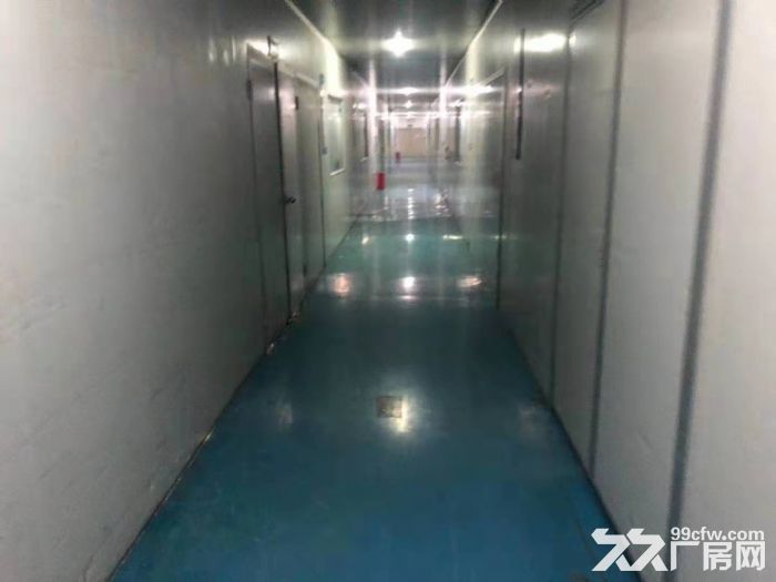 塘厦近深圳观兰 独院厂房出租6840平 现成千级无尘车间 - 3