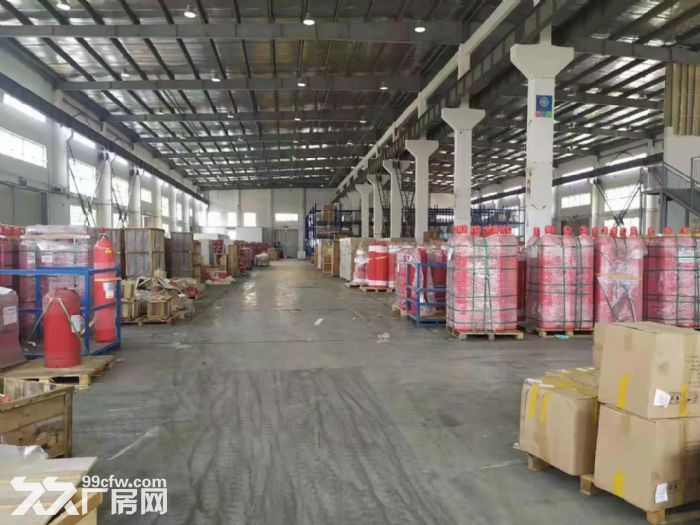 临港104板块厂房单层厂房出租4000平到5万平可环评高10米 - 2