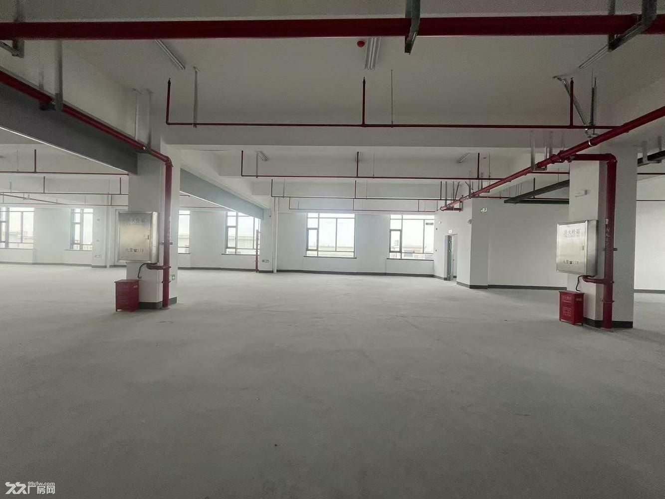 业主直租独门独户 适合企业总部 化妆品 电商直播 仓储 机械 - 4