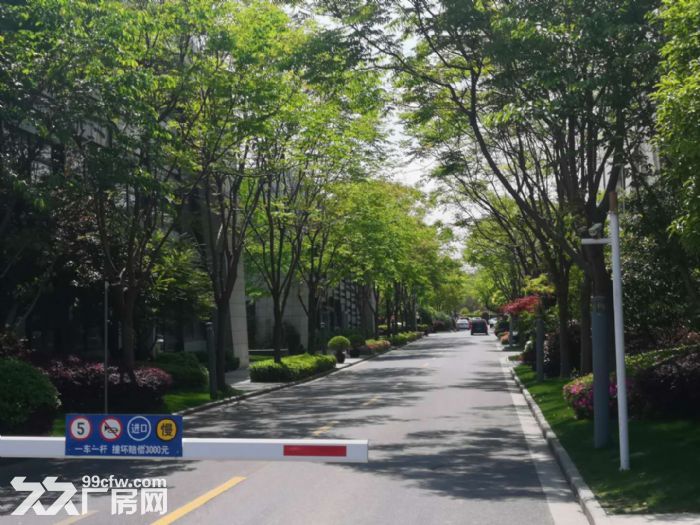张江南独栋带花园露台办公厂房近地铁,适合研发总部办公 - 2