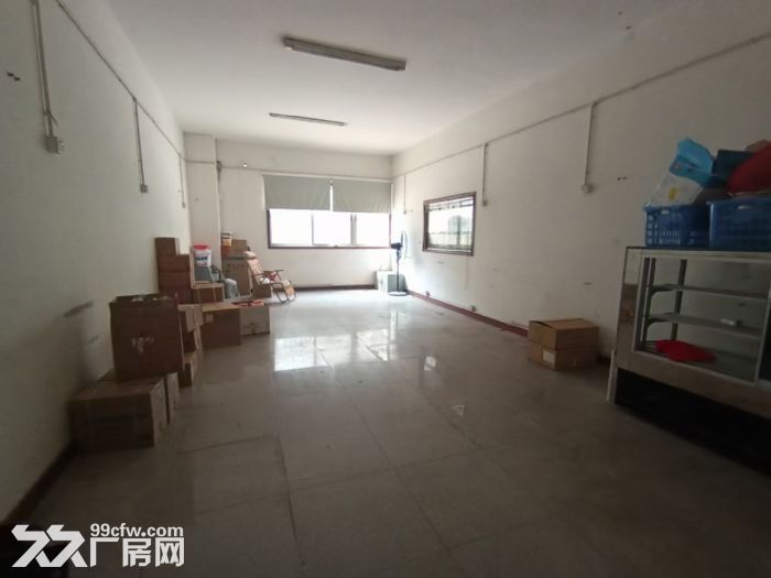 龙岗横岗新出一楼厂房2000平,可分租,空地大,停车位充足 - 3