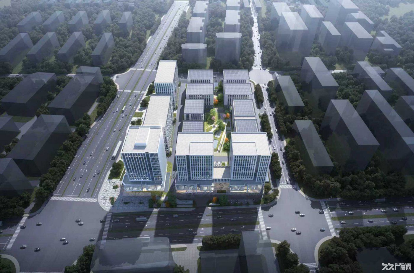 政府全新园区，政策扶持，租金可全免，有单层、有整幢，面积多选