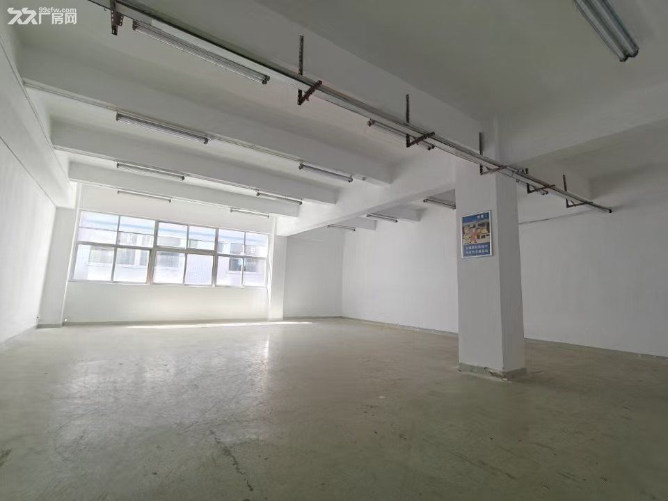 深圳石岩村委厂房直租0公摊 - 6