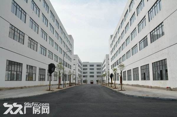 海沧工业区独门独院25000平招租