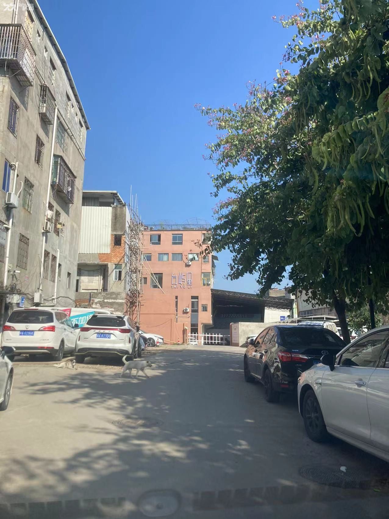 仓山区三环附近厂房出租,有意愿者请先电话联系