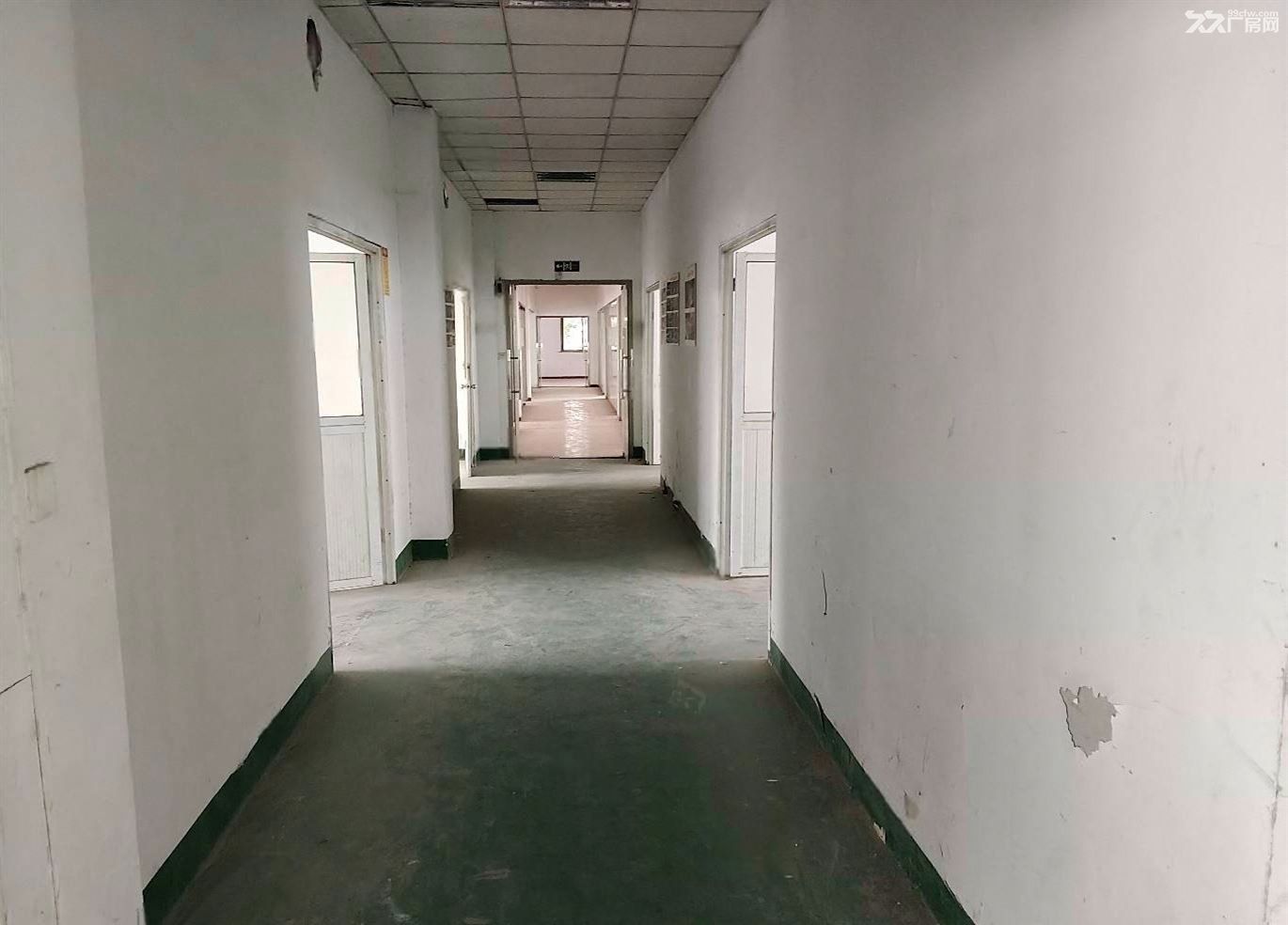 无:房东直租:白鹤楼上仓库出租,320平,570平650平,大货梯 - 5