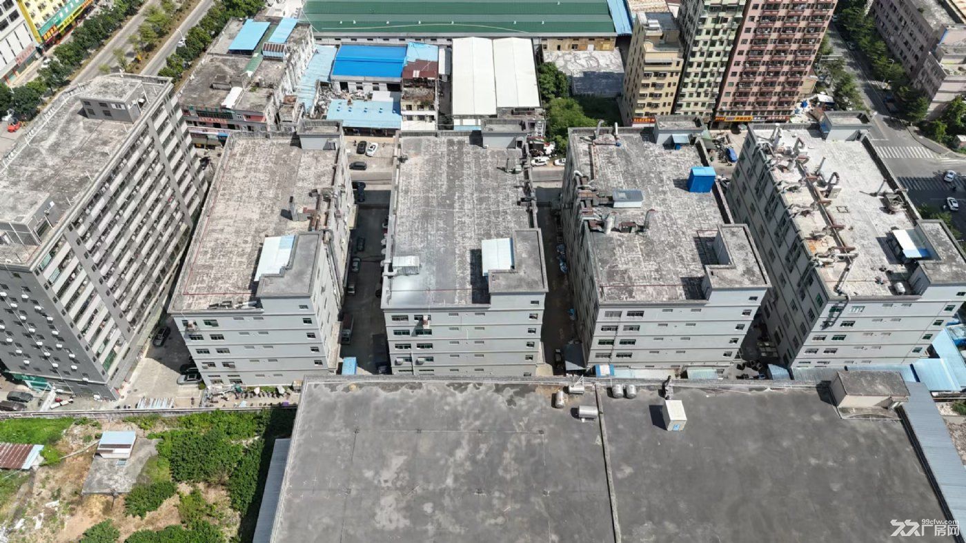 红本原房东独栋标准厂房出租