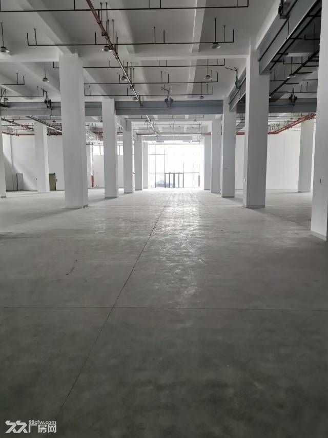 临港新片区未来空间智造谷园区厂房 - 3