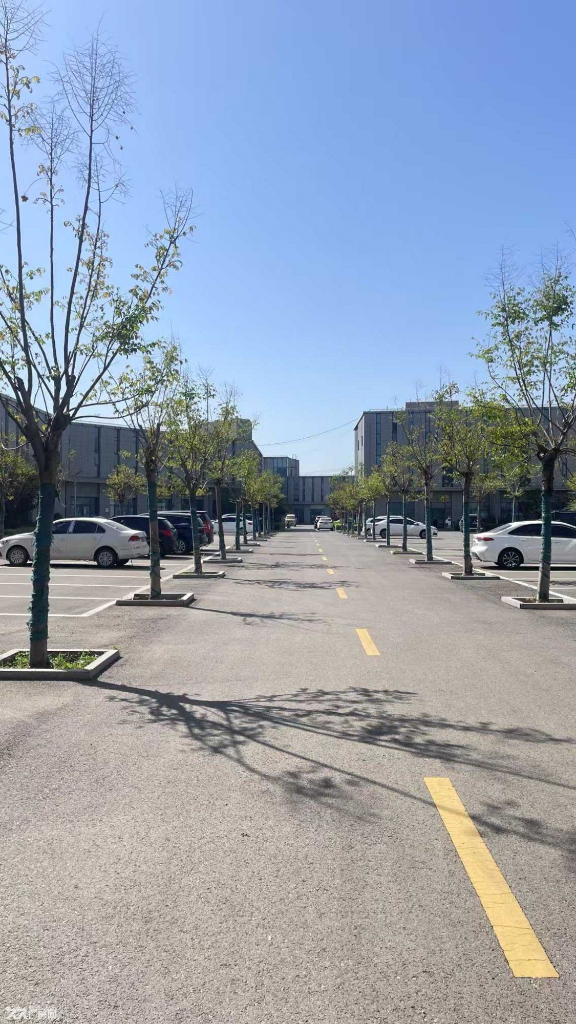 （非中介）科技型中小企业，创业孵化基地 - 6