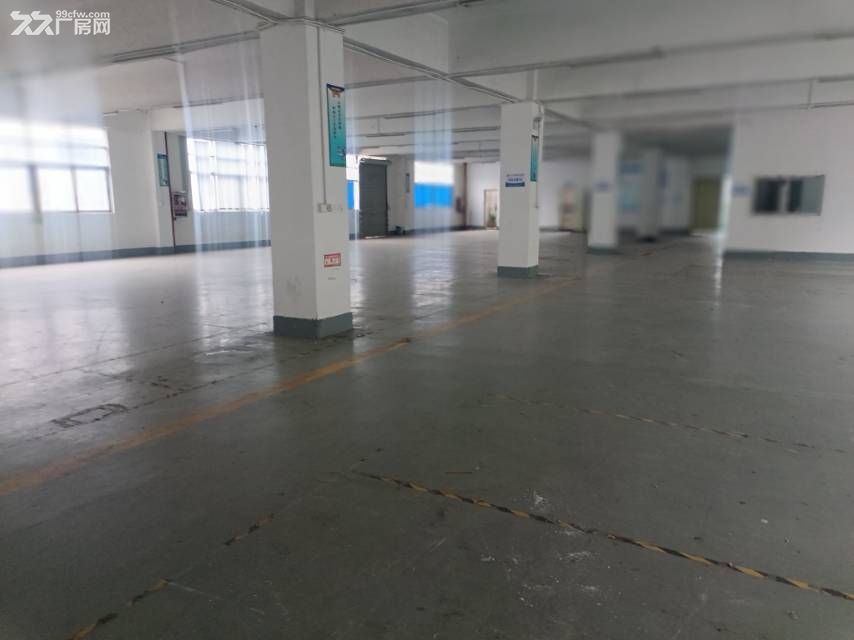 福永107国道边上新塘工业区楼上精装修厂房出租 - 5