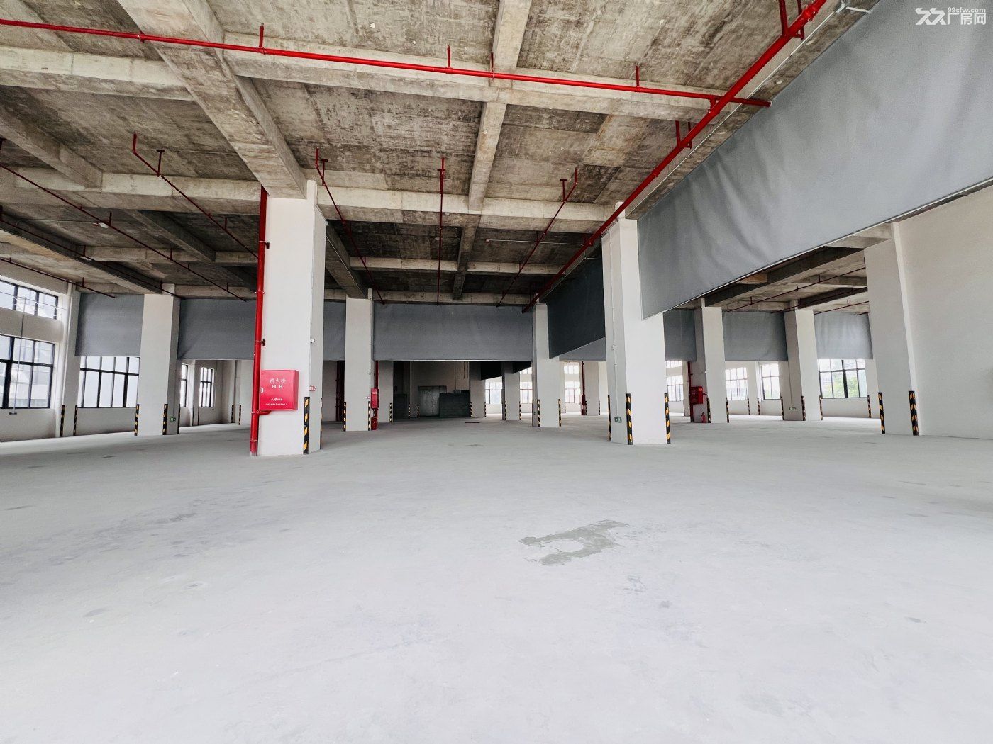大良伦桂路旁新建厂房整栋出售(业主) - 5
