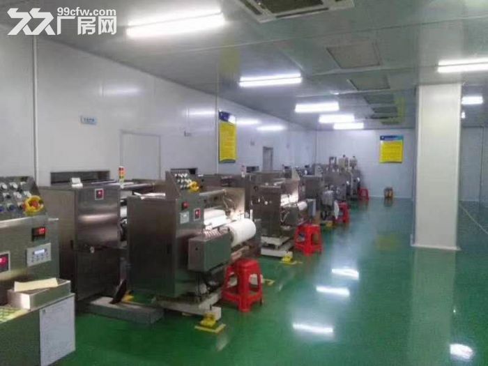 塘厦近观兰 三层独院厂房出租6500平米 有现成无尘车间 - 5