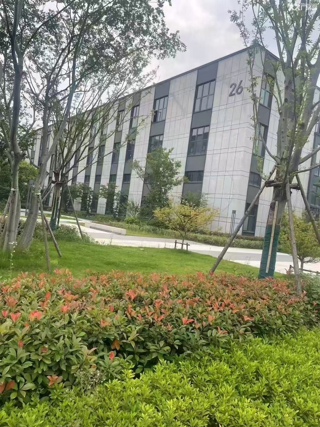 绍兴全新厂房，可租可售价格优惠 - 4