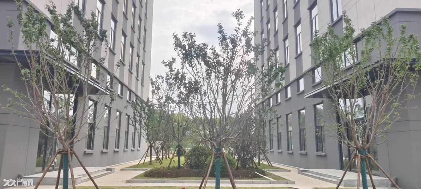 江宁全新高标厂房出租出售，抄底处理，最后三套 - 2