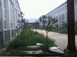 沌口丝宝拜耳工业园4300M2钢构车间带办公 - 3