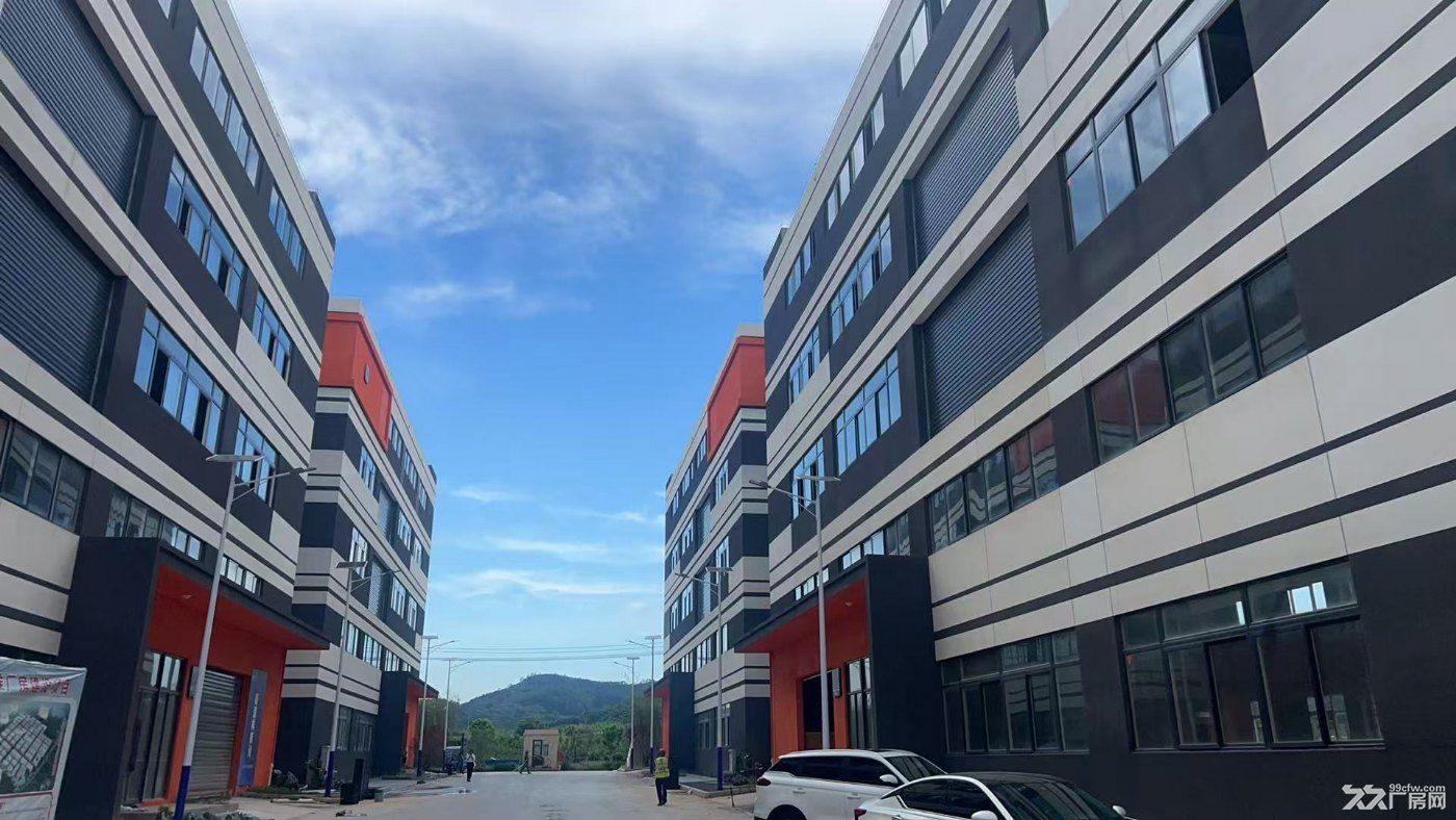 长泰岁金产业园区2459平出售招商  可双拼 可按揭 有50年产权 - 5