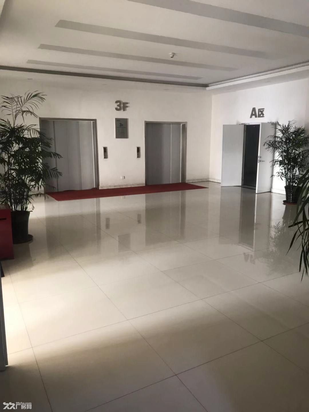 定州高新区核心地段工业厂房出租出售 - 3