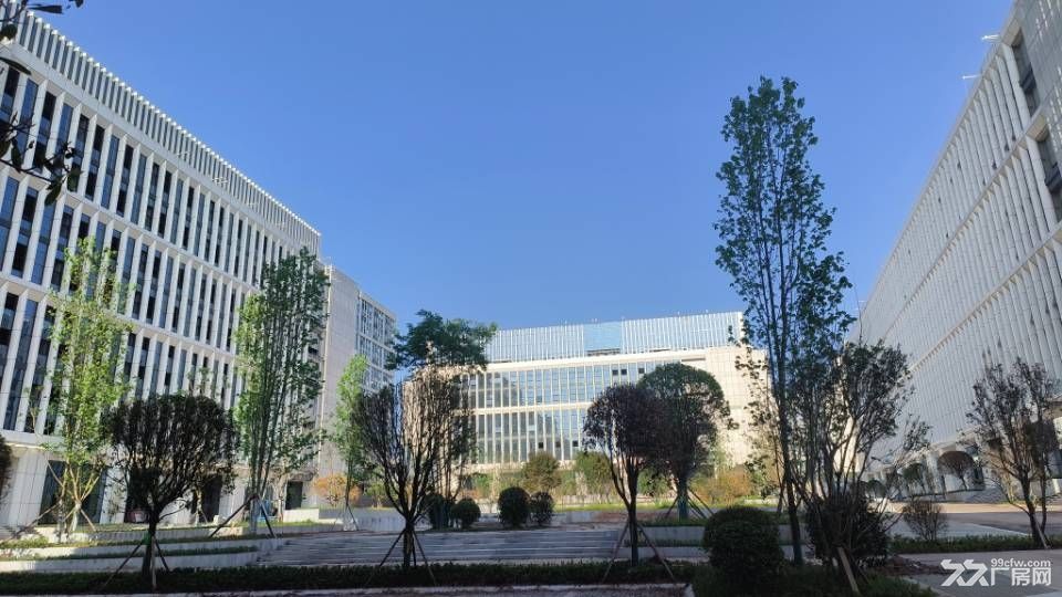 达州第5代厂房写字楼出租 - 2