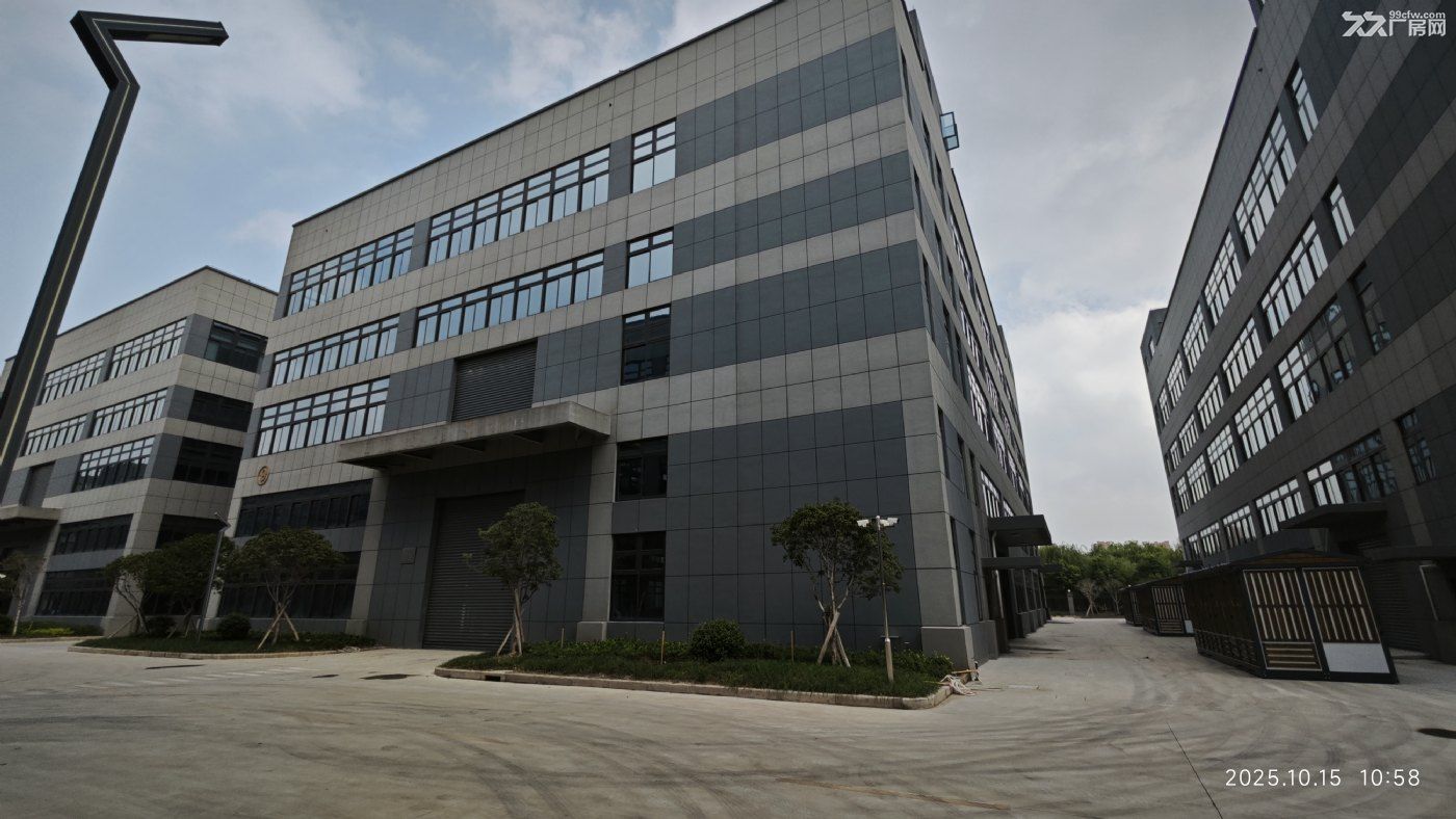 宝山新建高标准厂房1000平起租 租金0.6起 非中介 - 5