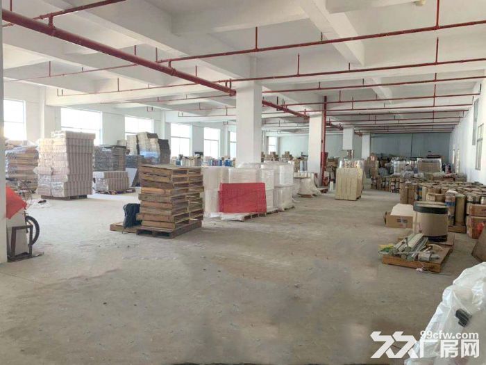 龙岗平湖新木社区华南城南门新出原房东3层小独院1650㎡,实际面积,可分租 - 2